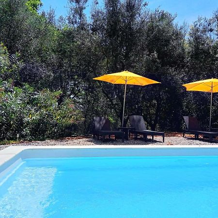 Chalet "Le Petit Olivier" Gites Appart 'Hotel L'Echappee Belle D'Aubenas Logement 2 Sur 3 Eksteriør bilde